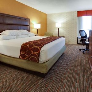 Deluxe King Room High Floor
